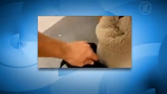 shoplifting смотреть онлайн