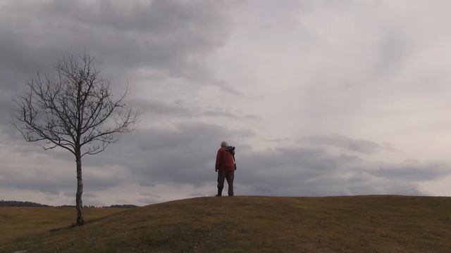 Peter Miller - "The Artists of Frog Hollow" смотреть онлайн