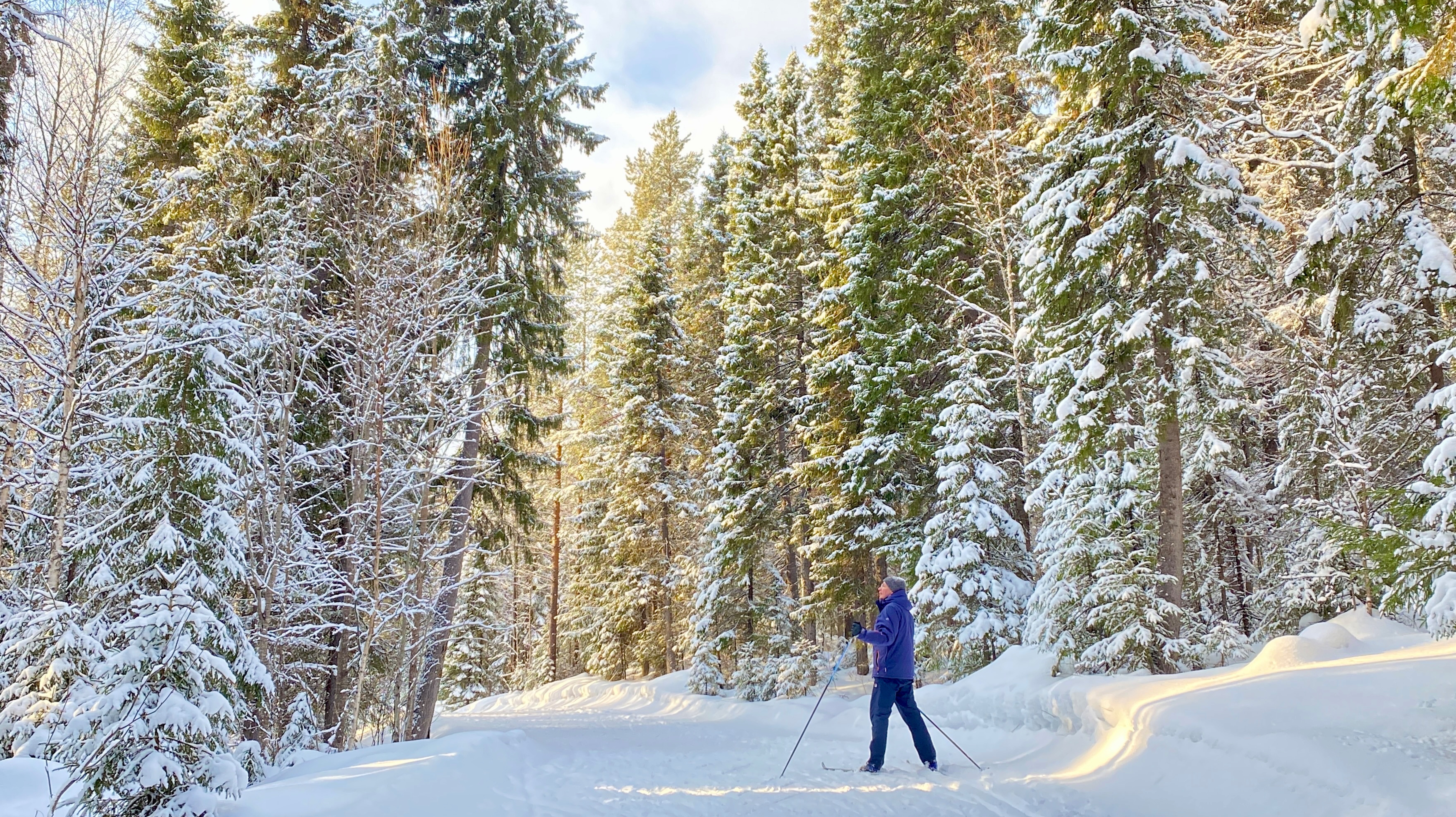 Лыжный стадион имени Кузина. смотреть онлайн