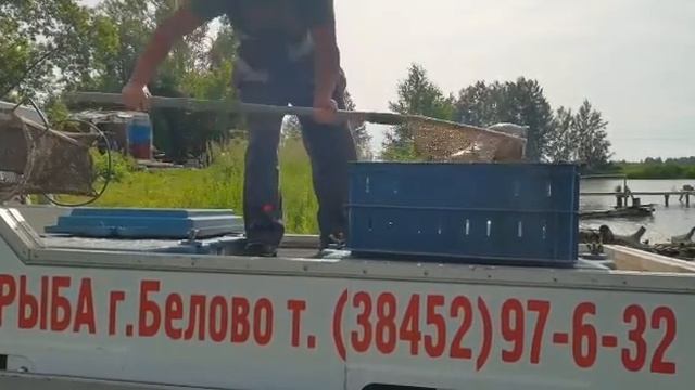 Глухое Новосибирск 4кг 1 зарыбление смотреть онлайн