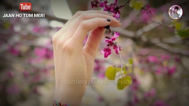 Dear Husband❤I Love You Message for Husband || Romantic WhatsApp Status| #Messageforhusband смотреть онлайн