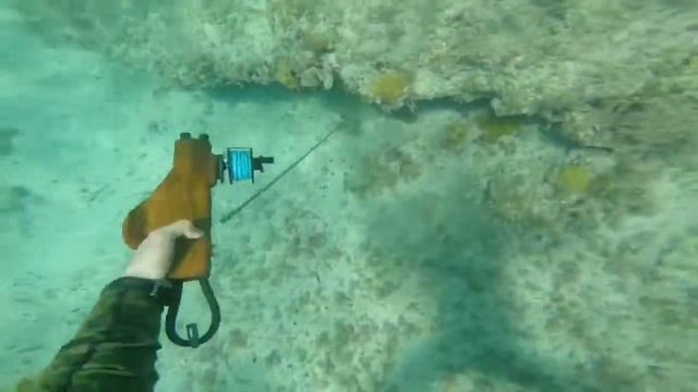Lion fish kill смотреть онлайн