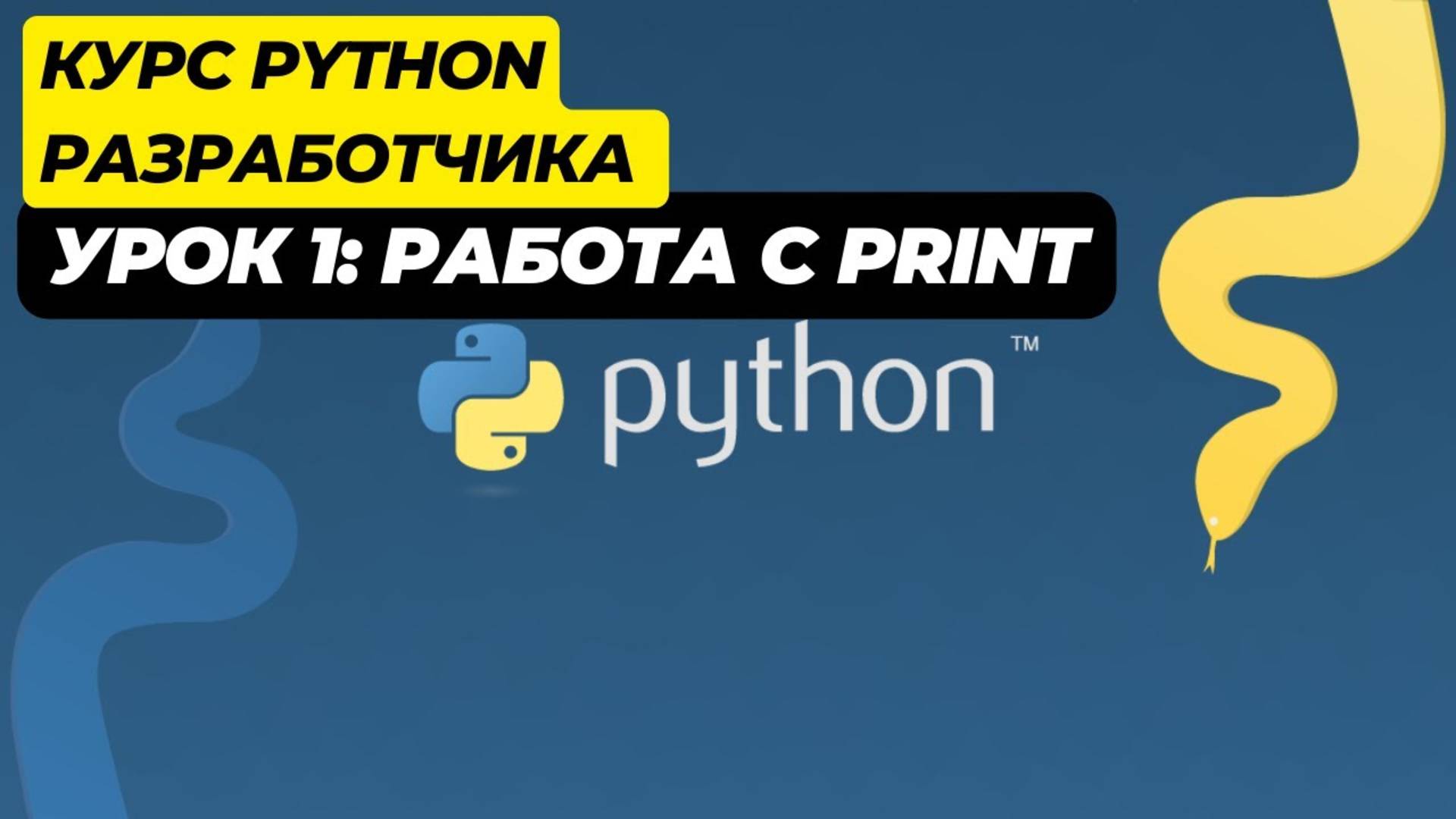 уроки по python урок 1 смотреть онлайн
