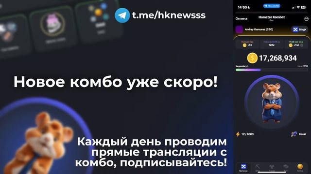 Новые комбо карты в Hamster Kombat! (06.06) смотреть онлайн