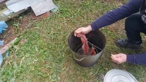 Сделал самодельную  коптильню своими руками.