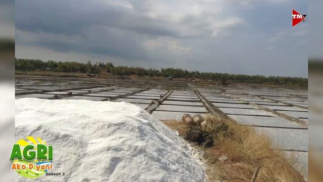 “PAGGAWA NG ASIN” Ep.41 AGRI Ako D’yan