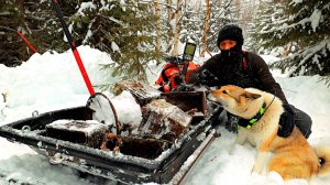 ПЕРЕПРАВА ГОТОВА!  ДИКИЙ ЖОР ЩУКИ! УХА НА ПЕЧИ. ПОДВОДНЫЙ МИР! ОДИН В ДИКОЙ ТАЙГЕ.