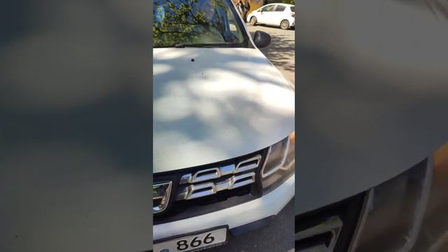 Кишинев видео от Романа и опять очередной быдло авто лось смотреть онлайн