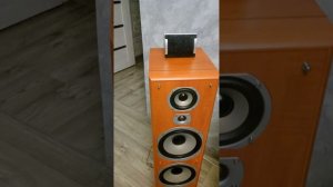 сравнение в лоб в лоб yamaha три пятёрки и кортланд 6.000 решение неоднозначное