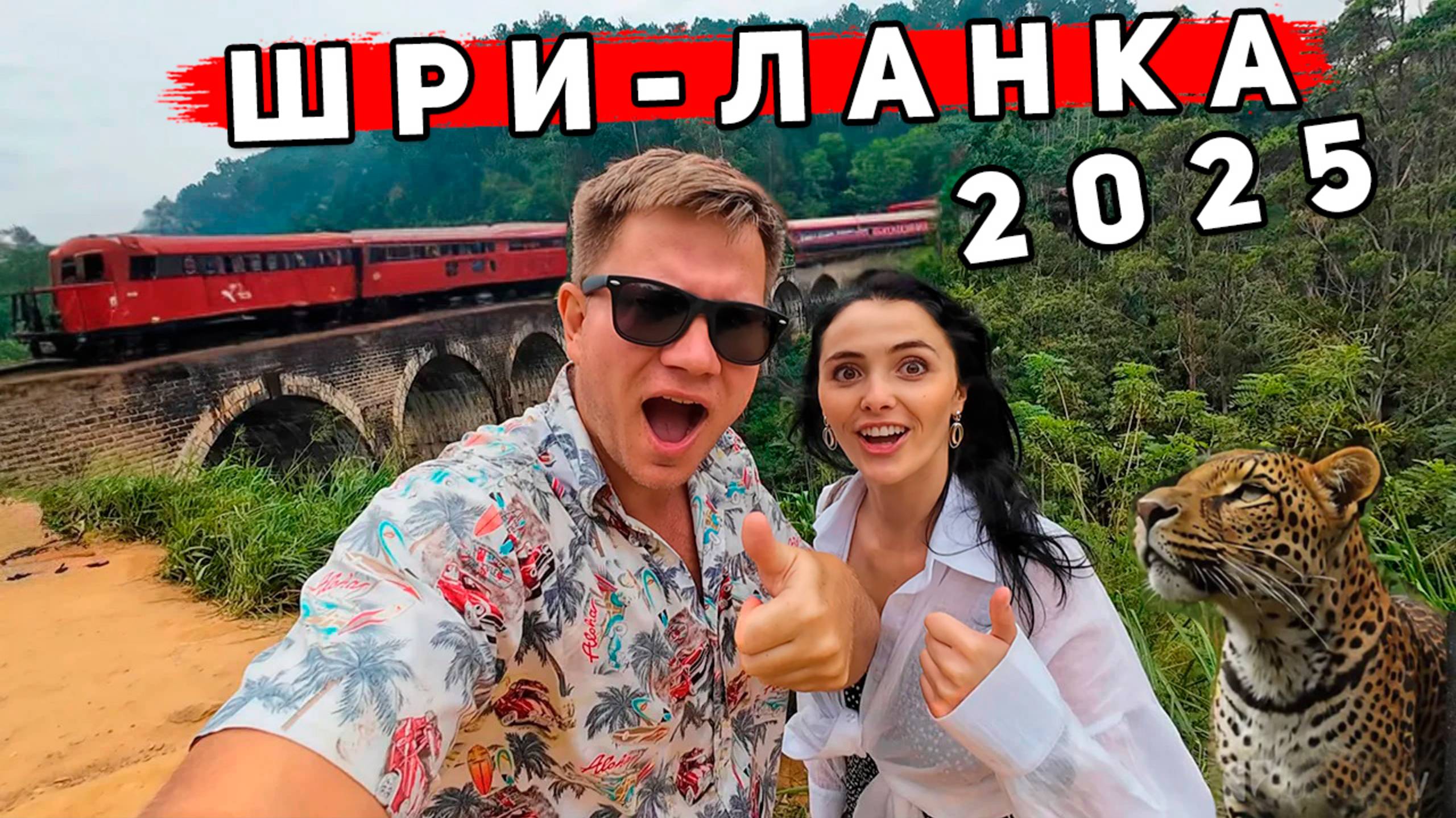 Шри-Ланка 2025 КРУЧЕ чем Бали! Это не Унаватуна и Хиккадува - ОТДЫХ в Элле. Экскурсии и сафари в Яле смотреть онлайн