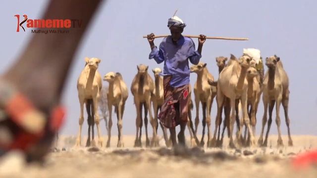 Makiria ma andu mirioni 4.1 kuuma kaunti 23 nio magumiirwo ni ng'aragu смотреть онлайн