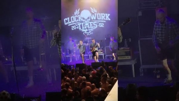 CWT - Скажи России. 40 лет ума нет