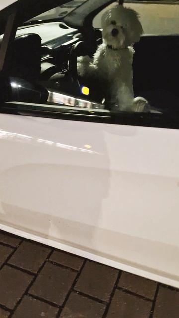 нам надо торопиться смотреть онлайн