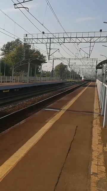 сапсан #short #санктпетербург #спб #ржд #сапсан #летит #мчит #СПБ #москва #железнаядорога #славянка