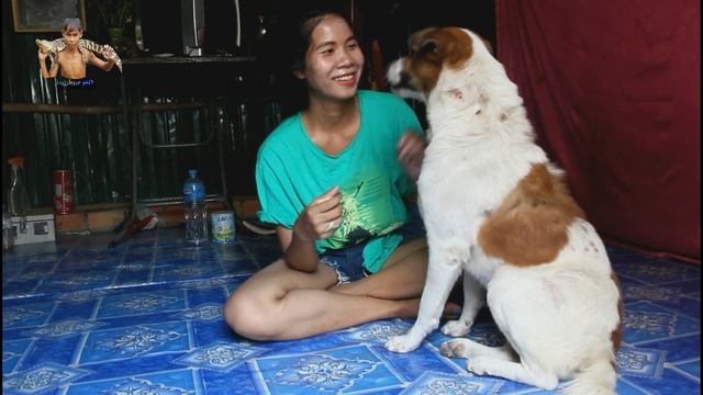 Amazing Smart Girl Playing With Dog In Her Home How To Play With Smart Dogs Angkor HD смотреть онлайн