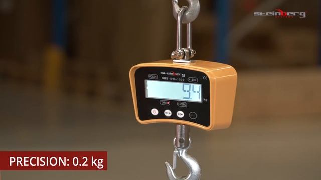 Crane Scale Steinberg Systems SBS-KW-1000Y | Product presentation смотреть онлайн