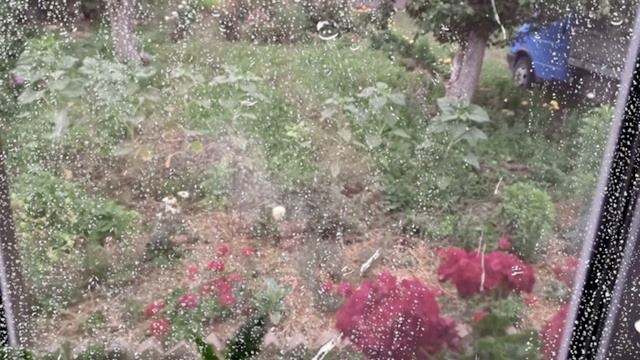 видео дождь смотреть онлайн