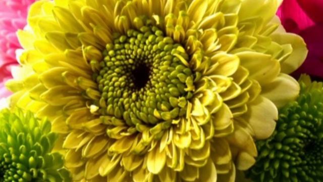 Предательство мужа