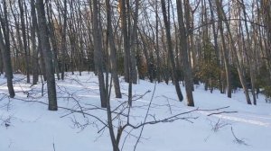 Озеро Тургояк зимой. Поход по льду до острова Веры. Экскурсия по экотропе, мегалиты, аборигены.