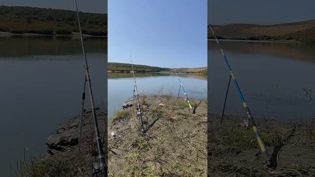 Qusarda Baliq Ovu. İri Karas Tutdum. Рыбалка в Кусарах. Поймал крупного карася.