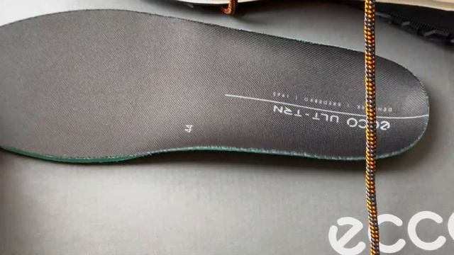 ECCO ULT-TRN M 2023-2024 смотреть онлайн