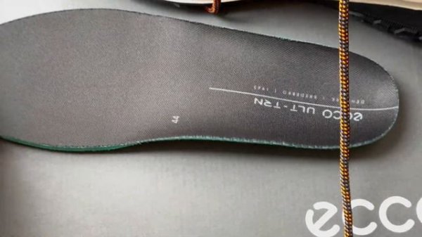 ECCO ULT-TRN M 2023-2024