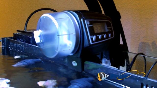 Current USA AquaChef Automatic Fish Feeder Product Demo смотреть онлайн