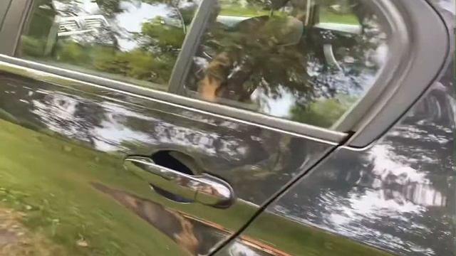 BMW 3 Series 2.0 320d EfficientDynamics For Sale At Friendly Motors Ltd