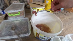 Будни Аквариумиста. Поработал с трубочником.