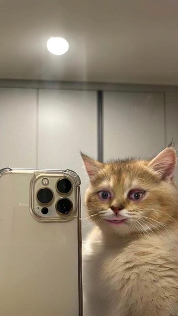 айфончик смотреть онлайн