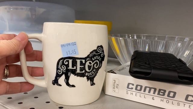 Let's Go Thrifting at Goodwill!! смотреть онлайн
