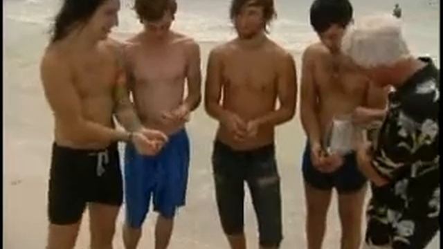 Paradise Island Gourmet Popcorn Customer Testimonials смотреть онлайн