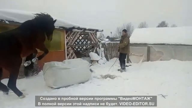 Наш Любимка смотреть онлайн