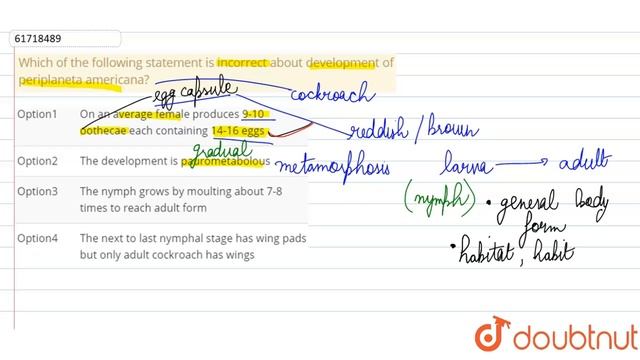 Which of the following statement is incorrect about development of periplaneta americana? смотреть онлайн