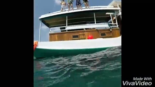 Pink Beach - Manta point - Taka Makassar - Kanawa - Sebayur - Labuan Bajo - Flores смотреть онлайн