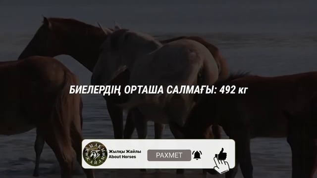 КӨШIM ЖЫЛҚЫСЫ жайлы сiз бiлмейтiн МӘЛIMETTEP❗🐎 - ЖЫЛҚЫ ТҰҚЫМДАРЫ #2 смотреть онлайн
