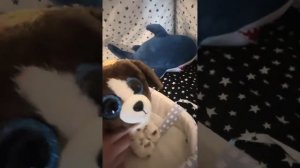 Антоха купил дом😎