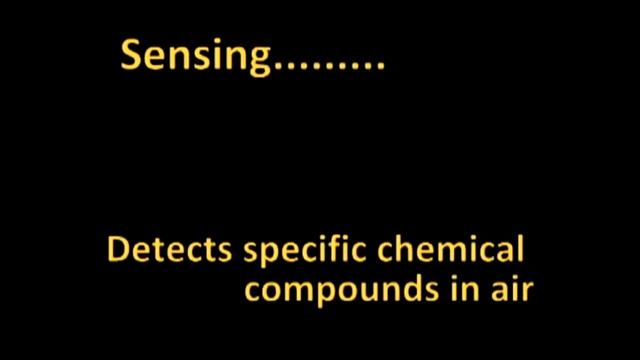 Gas Sensor Based on Nanostructures смотреть онлайн