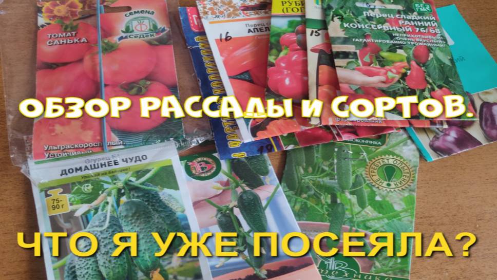РАССАДА.ЧТО Я УЖЕ ПОСЕЯЛА? смотреть онлайн