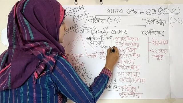 চলন ও অঙ্গচালনা (অধ্যায় - ৭) (করোটি) - পার্ট - ৩ смотреть онлайн