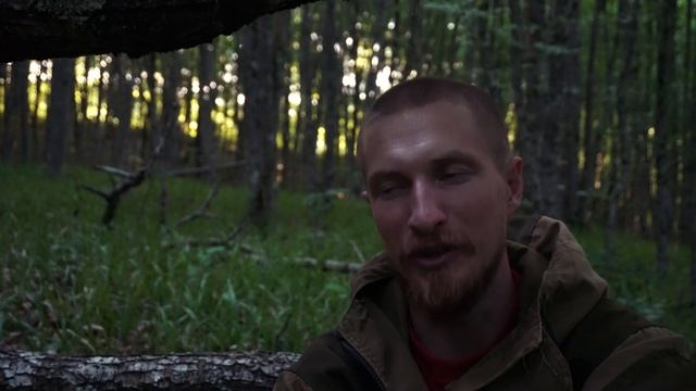 Бомжевал в лесу один без снаряжения. Ночью пришли кабаны.