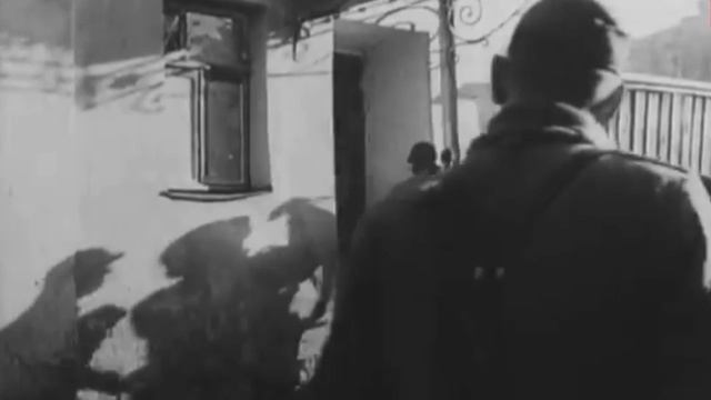 для проекта смотреть онлайн