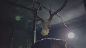 КВЕСТ НА ПРИВЯЗИ/ОФИЦИАЛЬНОЕ ВИДЕО-КАЗАНЬ