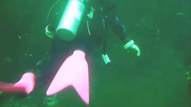 UB Diving In The Killer Whale Tank Pt2