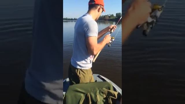 Первый сом Брата...Припять 2015