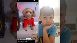 батл сигма бой реакция Мирона