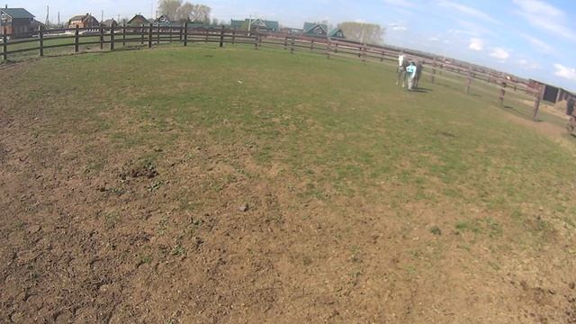 Наши занятия