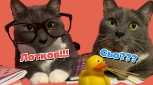 ЕСЛИ БЫ КОТИКИ ХОДИЛИ В ШКОЛУ-ЛОТКОВ СНОВА В ДЕЛЕ