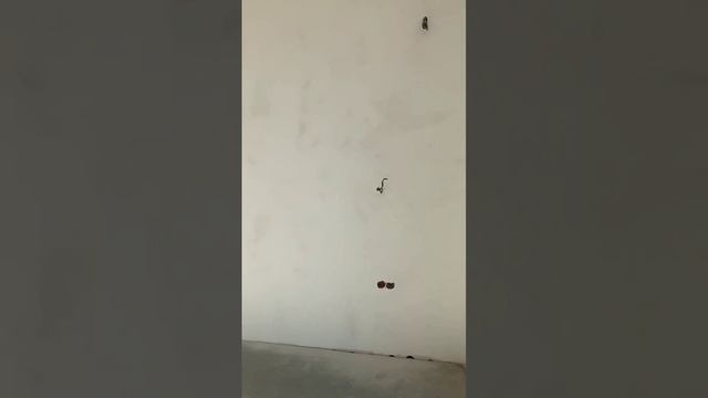 Лазурная 366