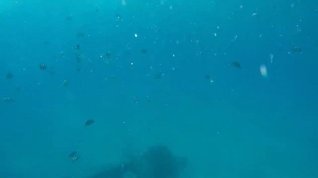 Electric Beach смотреть онлайн